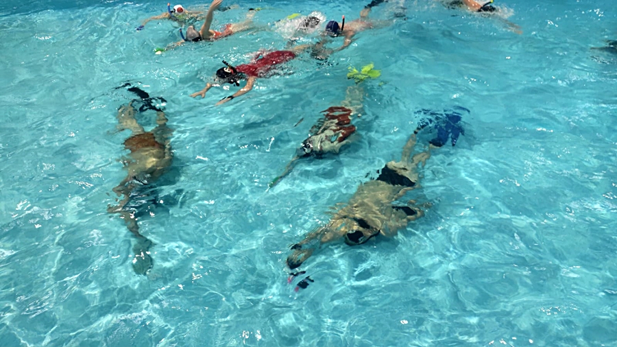 Hokej pod wodą Walenie Siemianowice Śląskie Trening 5 XI 2022. Koniec Walenia czyli Amatorska Liga Hokeja Pod Wodą